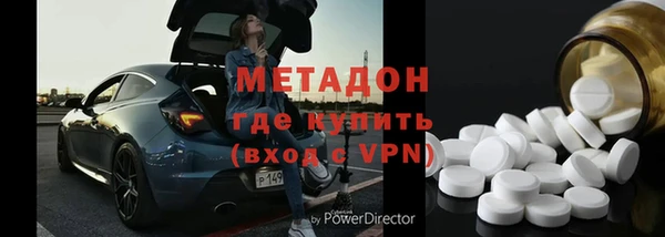 прущие грибы Армянск
