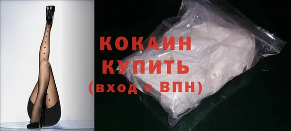 прущие грибы Армянск