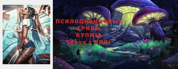 прущие грибы Армянск