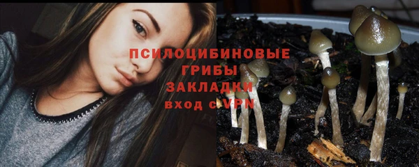 бутират Аркадак