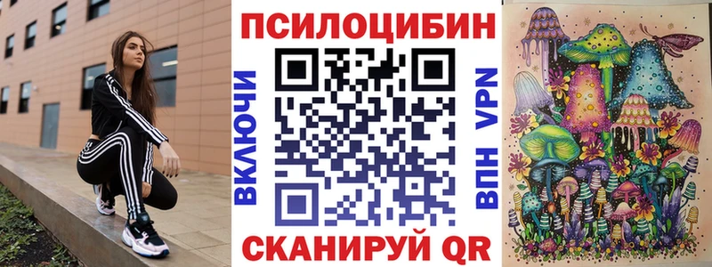 блэк спрут рабочий сайт  магазин    Семикаракорск  Галлюциногенные грибы MAGIC MUSHROOMS 